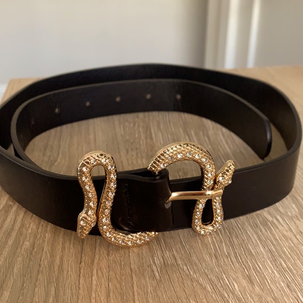 Black snake belt